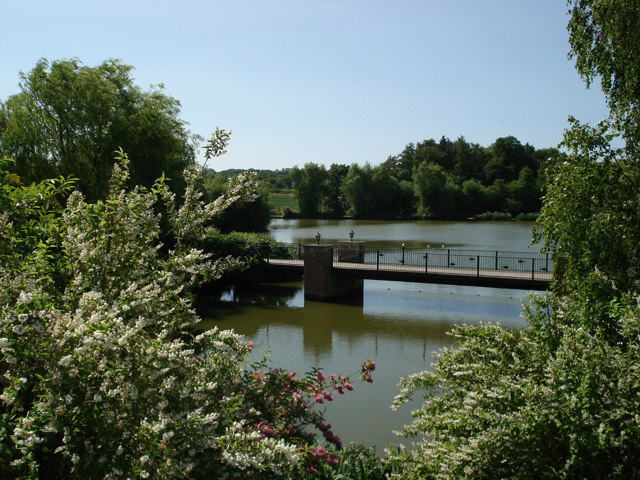 Hawkhurst Fish Farm