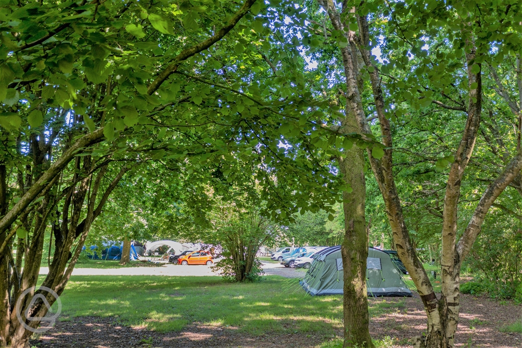 T & J Campsite